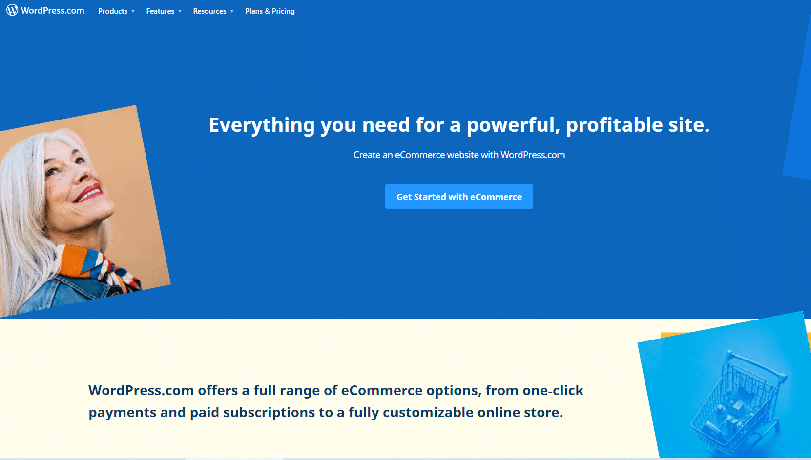 WordPress eCommerce | CyberCrew