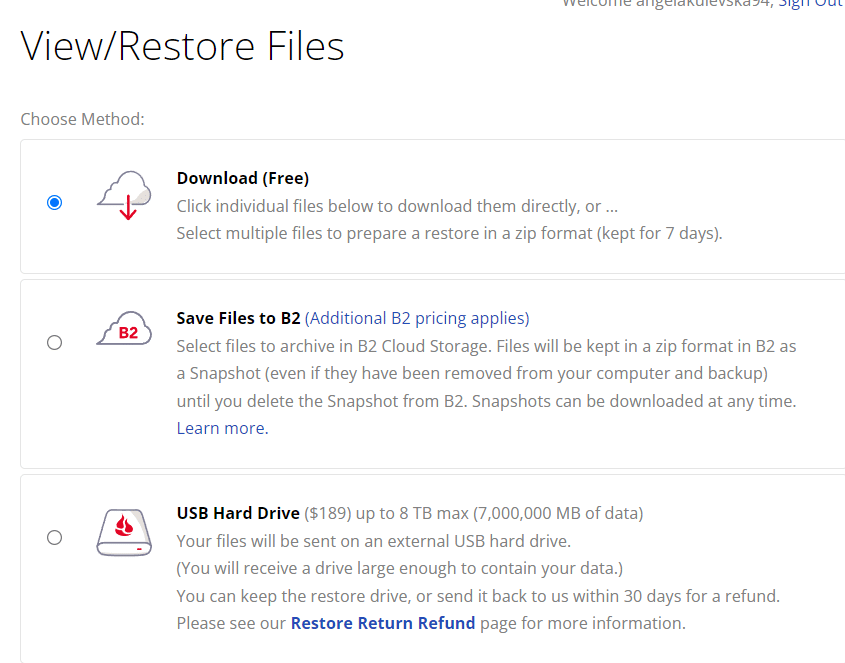 Backblaze File Restore | CyberCrew